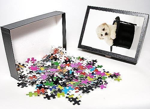 Photo Jigsaw Puzzle of JD-20643 Dog. White teddy bear puppy sitting in a top hat with a magic wand