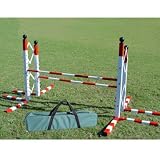 Agility Double Parallel Bar Hurdle For Large Dogs/Blue and Yellow