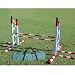 Agility Double Parallel Bar Hurdle For Large Dogs/Blue and Yellow