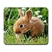 Bunny Rabbit Large Mousepad mouse pad Great Gift Idea