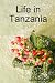 Life In Tanzania width=