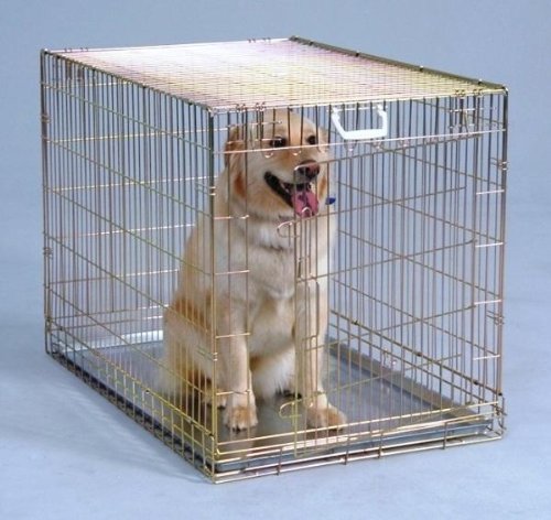 General Cage Large Gold Wire Folding Dog Crate