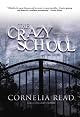 The Crazy School