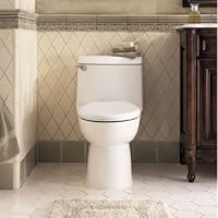American Standard Champion Elongated One-Piece Toilet - Bone