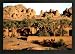 GILLES SANTANTONIO OASIS BARDAI TCHAD 15.75