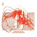 Electronic Meditation