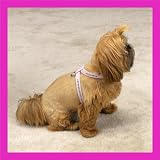 PINK - SMALL - Gemstone Jeweled Harnesses