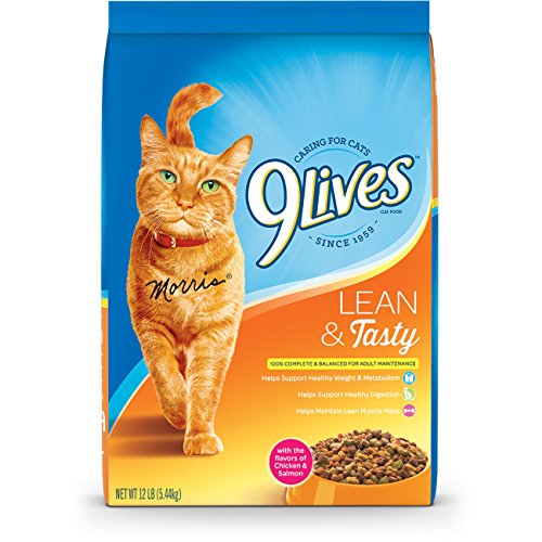 9 Lives Lean and Tasty Dry Cat Food, 12Pound New eBay