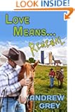 Love Means... Renewal (Love Means... Series)