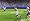 Madden NFL 11