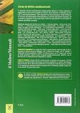 Image de Corso di diritto costituzionale