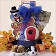 All About Your Pooch!: Pet/Dog Gift Basket