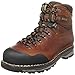 Zamberlan Men's 1025 Tofane NW GT RR Hiking Boot,Waxed Brick,9.5 M US