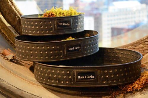 Set of Three Antique Trays