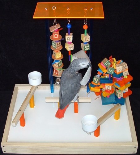 Amazon / African Grey Parrot Playgym (Junior 