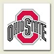 AbsorbaStone Coaster set~ Ohio State Buckeyes ~ 4 Tile Drink Coasters ~ code 974C
