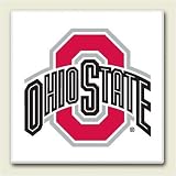 AbsorbaStone Coaster set~ Ohio State Buckeyes ~ 4 Tile Drink Coasters ~ code 974C