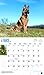 German Shepherds, For the Love of 2016 Deluxe (Multilingual Edition)