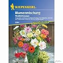 Wohlf&uuml;hlblumen-Mischung
