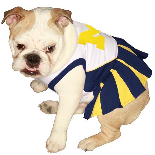 Best Price Pets First NCAA University of Michigan Wolverines Cheerleader Dog Outfit