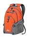 High Sierra Loop Backpack (19 x 13.5 x 8.5-Inch, Orange Gray)