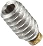 Stainless Steel Set Screw, Hex Socket Drive, Brass Tip, #4-40, 1/8" Length (Pack of 1)