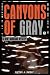 Book Canyons of Gray