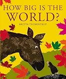 How big is the world?