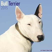 Bull Terrier Calendar - Breed Specific Bull Terrier Calendar - 2015 Wall calendars - Dog Calendars - Monthly Wall Calendar by Avonside Bull Terrier Calendar - Breed Specific Bull Terrier Calendar - 2015 Wall calendars - Dog Calendars - Monthly Wall Calendar by Avonside