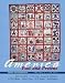 Books : America Past and Present, Brief Edition, Volume I (Chapters 1-16) (6th Edition)