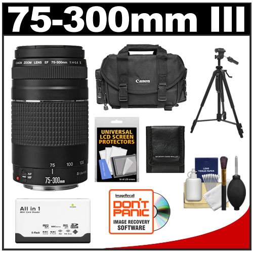 christmas Canon 75 300mm Accessory Digital CamerasB001B4TPV4