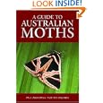 Guide to Australian Moths