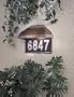 Minka Lavery Outdoor Harrison 8000-161-PL 1-LT 13w (9"H x 12"W) ES Wall Turtle Light in Walnut