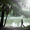 Comme si de rien n'était