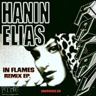 In Flames