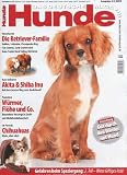Hunde Magazin