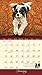 Dogs We Love 2017 Deluxe Wall Calendar