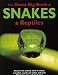Search : The Great Big Book of Snakes & Reptiles