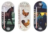 12-pk 8 Suction Cup Thermometer - 3 Assorted Designs