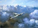 Flight of Freedom Poster - Roy Cross