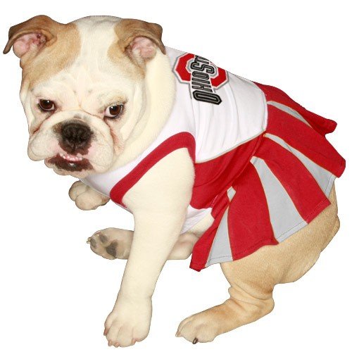 Pets First NCAA University of Ohio Buckeyes Cheerleader Dog Outfit, Medium