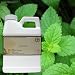Peppermint 100% Pure Therapeutic Grade Essential Oil-16oz