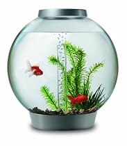 biOrb with Halogen Light, Silver, 8 Gallons