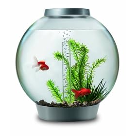 biOrb with Light Fixture (8 Gallons Silver) by biOrb