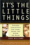 It`s the Little Things: Everyday Interactions That Anger, Annoy, and Divide the Races