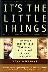 It's the Little Things: Everyday Interactions That Anger, Annoy, and Divide the Races