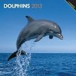 Dolphins 2013 Square 12X12 Wall Calendar