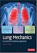 Lung Mechanics: An Inverse Modeling Approach