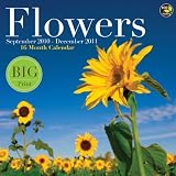 Flowers 16 Month 2011 Wall Calendar