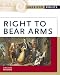Right To Bear Arms (American Rights)